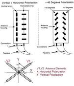 Polarization Diversity vs. Angle Diversity: A Detailed Comparison