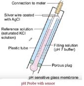 pH Sensor Probe vs. pH Meter: Understanding the Difference