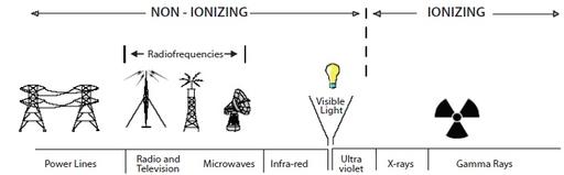 Electric vs. Magnetic Field Measurement: Methods and Importance