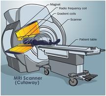 CT vs MRI vs Ultrasound: Advantages and Disadvantages