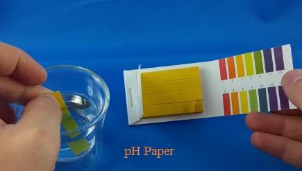 pH paper,Litmus Paper