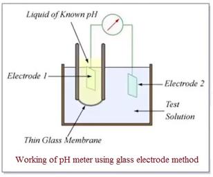 pH Meter vs. pH Paper: A Detailed Comparison