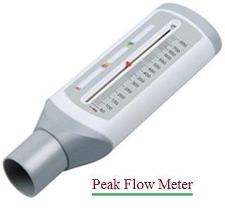 Peak Flow Meter